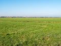 Dutch rural landscape of farmland and meadows in polder Eempolder near Eemnes, Netherlands Royalty Free Stock Photo