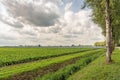 Picturesque Dutch rural landscape with arable farming