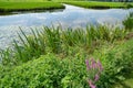 Dutch rural scene in Kinderdijk green grassland with canals running through