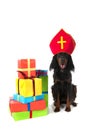 Dutch Sinterklaas dog Royalty Free Stock Photo