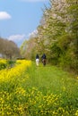 Dutch springtime rural landscape