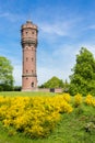 Dutch stone water tower with blooming yellow flowers Royalty Free Stock Photo
