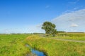 Dutch summer polder landscape in perspective with roadway and adjacent ditch and green meadows Royalty Free Stock Photo