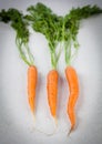 Dutch sweet carrots on marble