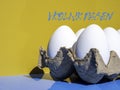 Dutch text Vrolijk Pasen, Happy Easter white eggs in an egg carton outdoor on a sunny day Royalty Free Stock Photo