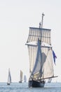 Dutch topsail schooner Wylde Swan