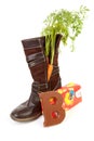Dutch tradition: shoe with carrot and present Royalty Free Stock Photo