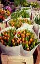 Dutch Tulip Stand at Flower Market