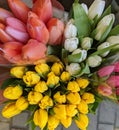 Dutch tulips in beautiful bouquet Royalty Free Stock Photo