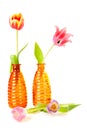 Dutch tulips in orange vases Royalty Free Stock Photo