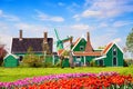 Dutch typical landscape. Traditional old dutch windmill with old houses and tulips against blue cloudy sky in the Zaanse Schans Royalty Free Stock Photo