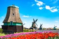 Dutch typical landscape. Traditional old dutch windmills with house, blue sky near river with tulips flowers flowerbed in the