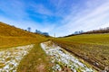 Dutch valley with green grass with traces of snow on the ground with bare trees in the background Royalty Free Stock Photo