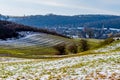 Dutch valley with green grass with traces of snow on the ground with trees and a village in the background Royalty Free Stock Photo