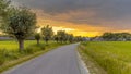 Dutch Village Landscape with Pollard Willows Royalty Free Stock Photo