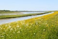 Dutch wadden island Texel