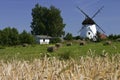 Dutch wind mill in polish countryside