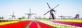 Dutch wind mills