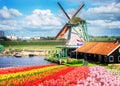 Dutch wind mills Royalty Free Stock Photo