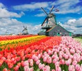 Dutch wind mills Royalty Free Stock Photo