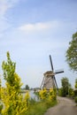 Dutch windmill Royalty Free Stock Photo