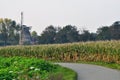 Dutch Windmill in Autumn Colors Royalty Free Stock Photo