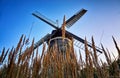 Dutch windmill behind the cornfield, in Benz on the island of Usedom. Germany