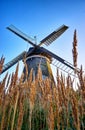 Dutch windmill in corn field on Usedom. Germany