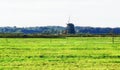 Dutch windmill and horses on pasture Royalty Free Stock Photo