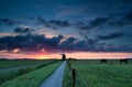 Dutch windmill and horses on pasture Royalty Free Stock Photo