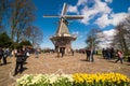 Dutch windmill in the Keukenhof