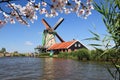 Dutch windmill landscape