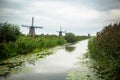 Dutch Windmill and landscape seen from Kinderdijk Netherlands Royalty Free Stock Photo