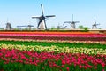 dutch windmill over tulips field Royalty Free Stock Photo