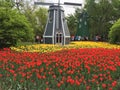 Tulips in windmills in Harbin Botanical Garden, Heilongjiang Province