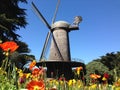 Dutch Windmill with Tulips in San Francisco Royalty Free Stock Photo