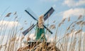 Dutch windmills in dry grass Royalty Free Stock Photo
