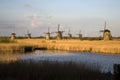 Dutch windmills in Kinderdijk Royalty Free Stock Photo