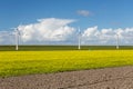Dutch windturbines behind a yellow coleseed field Royalty Free Stock Photo