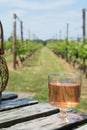 Dutch winery, rose wine tasting on vineyard in Brabant on outside terrace Royalty Free Stock Photo