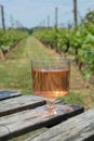 Dutch winery, rose wine tasting on vineyard in Brabant on outside terrace Royalty Free Stock Photo