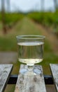 Dutch winery, white wine tasting on vineyard in Brabant on outside terrace Royalty Free Stock Photo