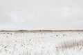 Dutch winter landscape with a small water mill on the horizon Royalty Free Stock Photo