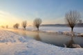 Dutch winter landscape with snow and low sun Royalty Free Stock Photo