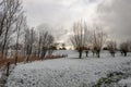 Dutch winter landscape with snow and pollard willows