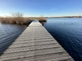 Dutch winter Landscape Twiske nature area The Netherlands Royalty Free Stock Photo