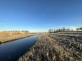 Dutch winter Landscape Twiske nature area The Netherlands Royalty Free Stock Photo