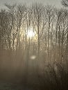 Dutch winter Landscape Twiske nature area The Netherlands