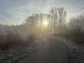 Dutch winter Landscape Twiske nature area The Netherlands Royalty Free Stock Photo