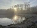 Dutch winter Landscape Twiske nature area The Netherlands Royalty Free Stock Photo